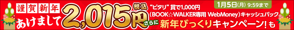 Xmasコイン30倍キャンペーン