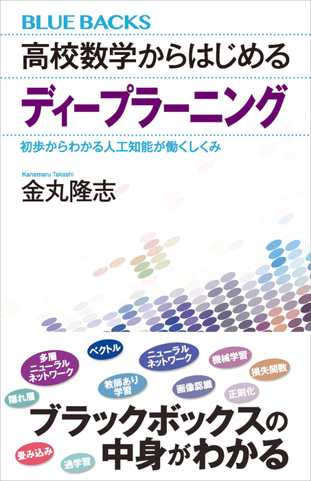 初歩からの微分積分 豊富な問題・詳しい解答付