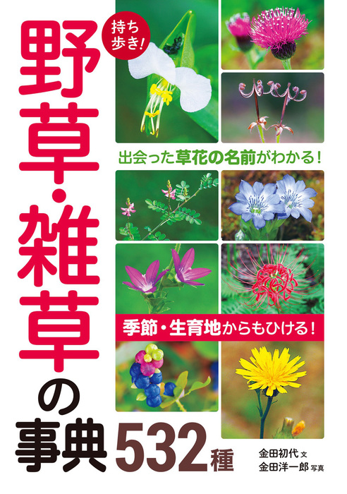 持ち歩き！ 野草・雑草の事典532種 - 実用 金田初代：電子書籍試し読み