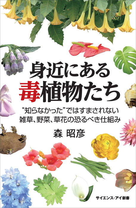 身近にある毒植物たち 知らなかった ではすまされない雑草 野菜 草花の恐るべき仕組み 新書 森昭彦 サイエンス アイ新書 電子書籍試し読み無料 Book Walker 身近にある毒植物たち 知らなかった ではすまされない雑草 野菜 草花の恐るべき仕組み 新書 森昭彦 サイエンス アイ新書 電子書籍試し読み無料 Book Walker