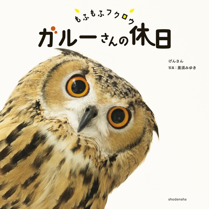 もふもふフクロウ ガルーさんの休日 もふもふフクロウ ガルーさんの休日 | げんさん, 黒須 みゆき |本