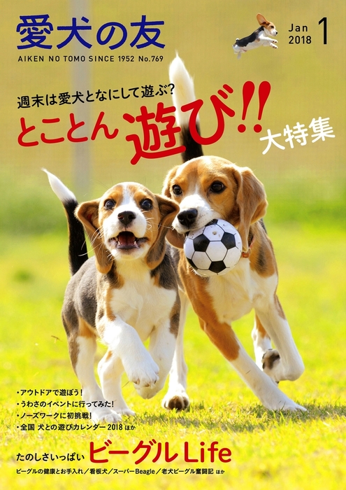 夜空 ビーグル犬飼育に関する本 6冊セット | academiadevendasmb.com.br
