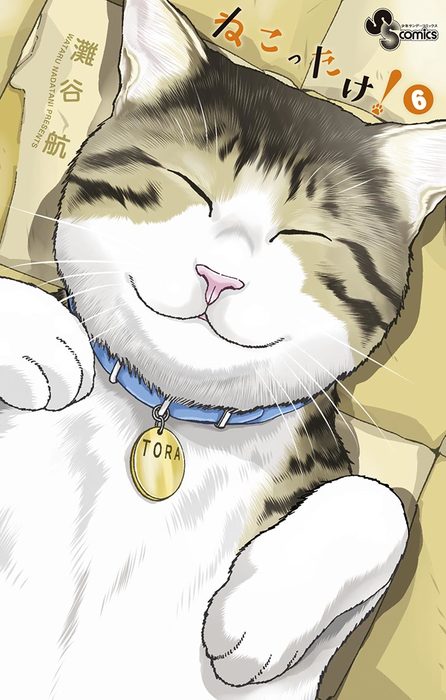 最終巻 ねこったけ 6 マンガ 漫画 灘谷航 少年サンデーコミックス 電子書籍試し読み無料 Book Walker 最終巻 ねこったけ 6 マンガ 漫画 灘谷航 少年サンデーコミックス 電子書籍試し読み無料 Book Walker