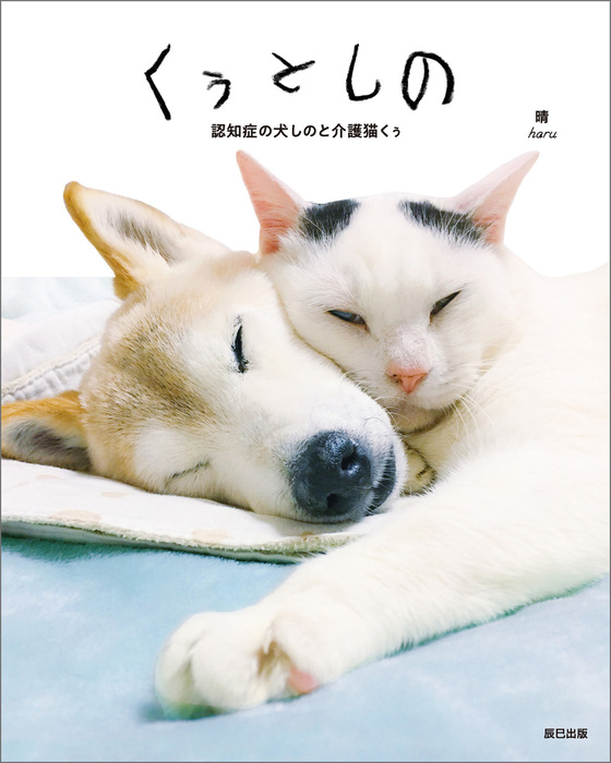 くぅとしの 認知症の犬しのと介護猫くぅ 実用 晴 電子書籍試し読み無料 Book Walker