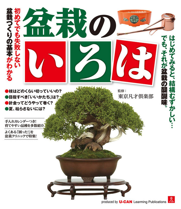 はじめての盆栽づくり 基礎から手入れまで - その他