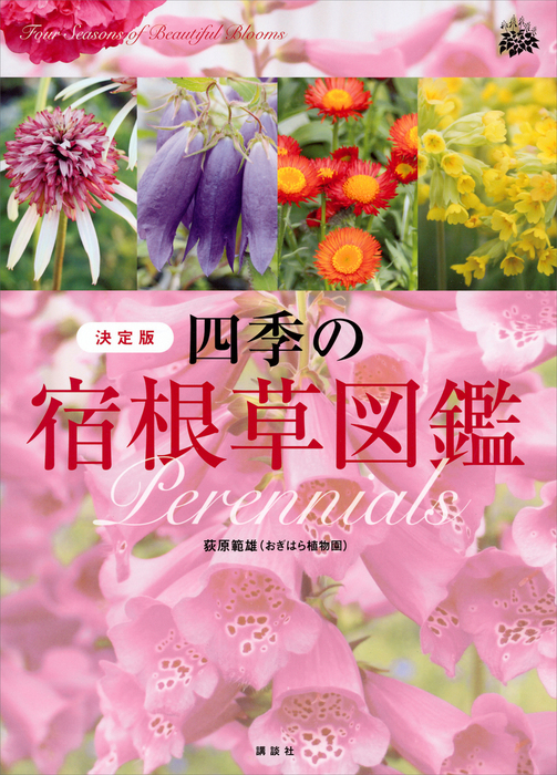 日本の美しい庭園図鑑 低価格 - アート