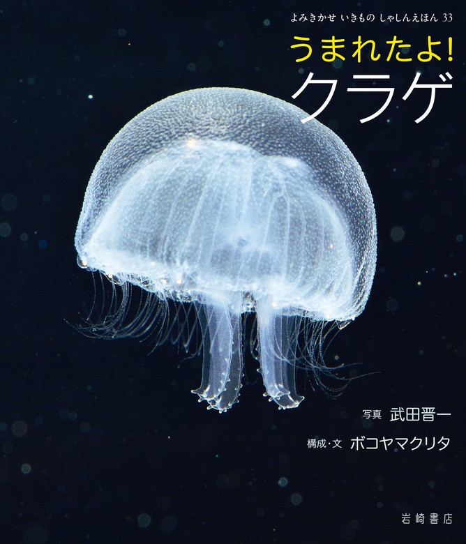 うまれたよ！ クラゲ - 文芸・小説 武田晋一/ボコヤマクリタ：電子書籍