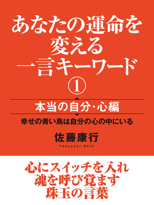魂の開発講座 佐藤康行 佐藤康行 240721真我開発特別基礎編