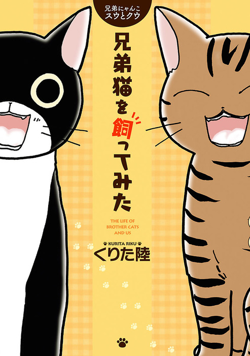 兄弟にゃんこ スウとクウ 兄弟猫を飼ってみた マンガ 漫画 電子書籍無料試し読み まとめ買いならbook Walker