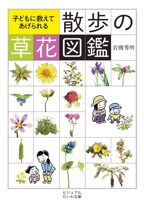 散歩の草花図鑑 実用 岩槻秀明 ビジュアルだいわ文庫 電子書籍試し読み無料 Book Walker