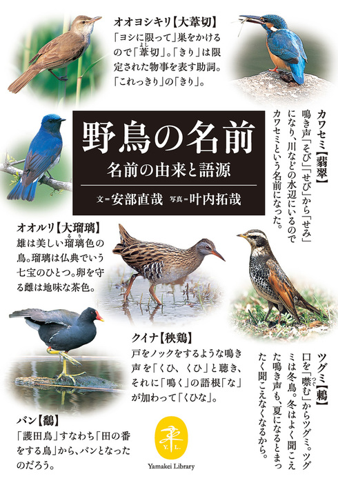 ヤマケイ文庫 野鳥の名前 名前の由来と語源 実用 安部 直哉 叶内拓哉 山と溪谷社 電子書籍試し読み無料 Book Walker