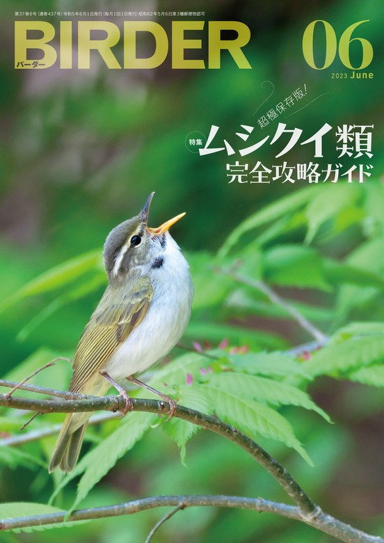 BIRDER2023年6月号 - 実用 BIRDER編集部：電子書籍試し読み無料 - BOOK