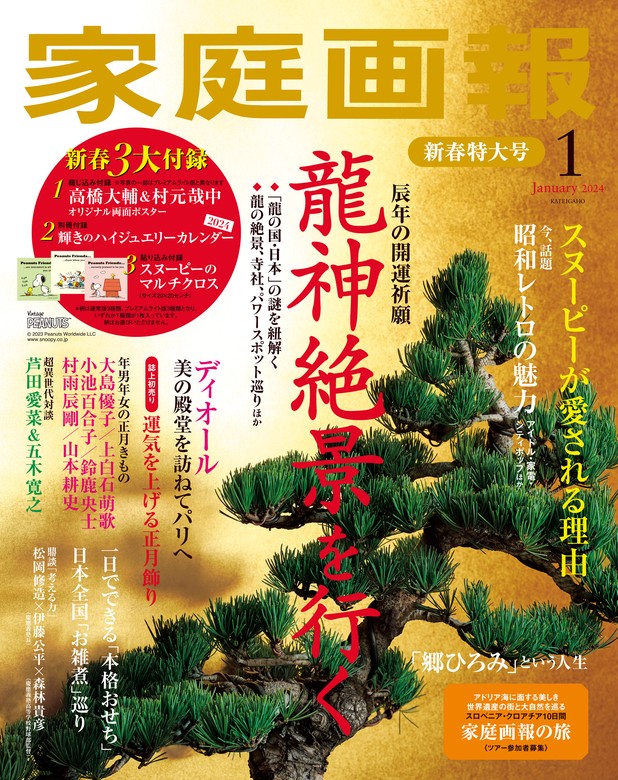 世界文化社 家庭画報2024年4月号 国内発送 - 女性情報誌