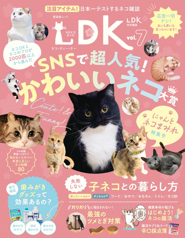 割引 うちの猫 こ : 猫アンソロジー １〜３ ３冊セット abamedyc.com