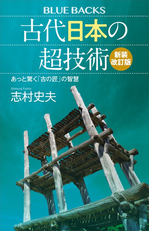 阿片問題の研究 菊地酉治 岩村茂允 渋沢信一 昭和3年初版 書き込み無し