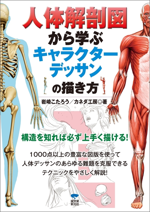 人体解剖図から学ぶキャラクターデッサンの描き方 実用 岩崎こたろう カネダ工房 電子書籍試し読み無料 Book Walker