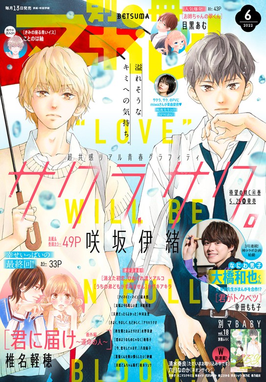 別冊マーガレット 4月号 応募券 うちの弟どもがすみません 別マ テレビ