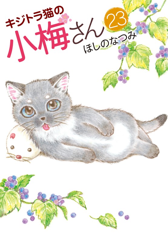最新刊】キジトラ猫の小梅さん　(23)　BOOK☆WALKER　マンガ（漫画）　ほしのなつみ（ねこぱんち）：電子書籍試し読み無料