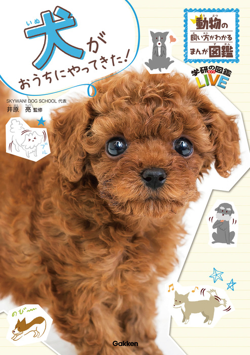 犬がおうちにやってきた！ - 実用 井原亮：電子書籍試し読み無料