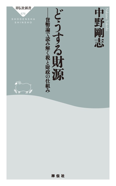 どうする財源 貨幣論で読み解く税と財政の仕組み - 新書 中野剛志