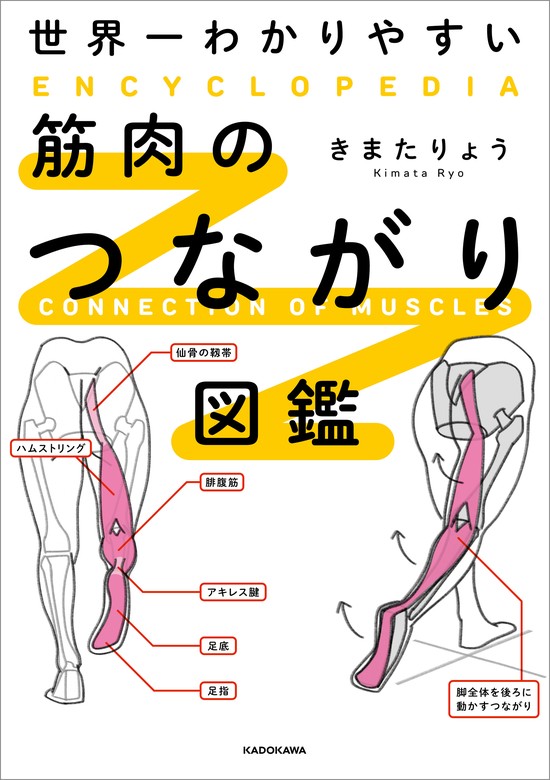 世界一わかりやすい 筋肉のつながり図鑑 - 実用 きまた りょう：電子