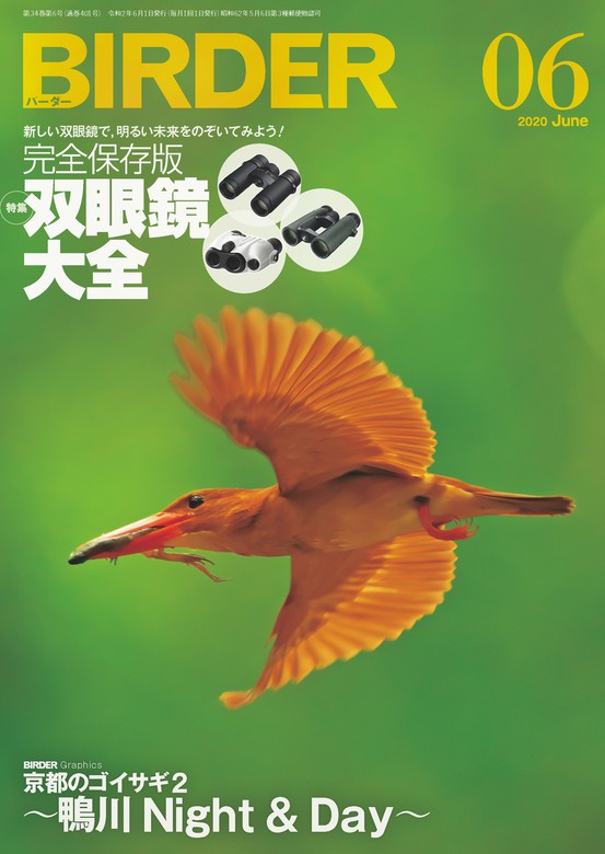 BIRDER バーダー 2020年 11月号 特集:公園探鳥のススメ - 趣味