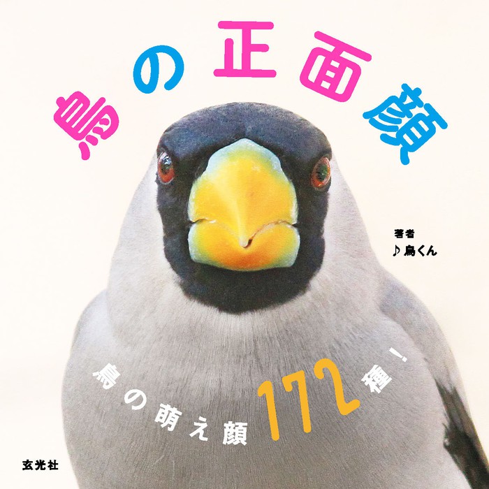 鳥の正面顔 実用 鳥くん 永井真人 電子書籍試し読み無料 Book Walker