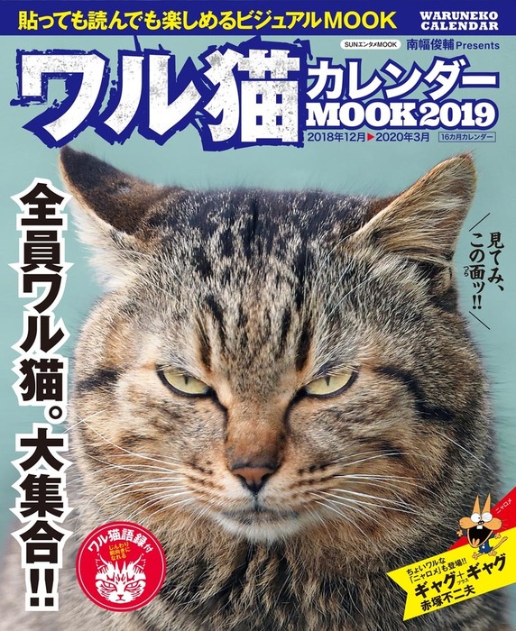 だいじょうぶ。 ニャンとか生きていけるよ 老子と猫から学ぶ人生論