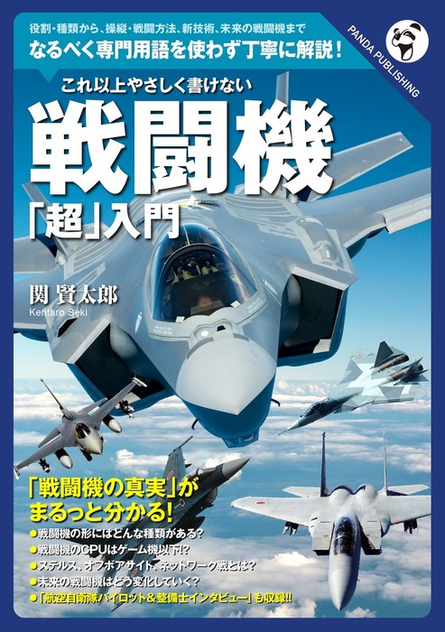 これ以上やさしく書けない 戦闘機「超」入門 - 実用、同人誌・個人出版