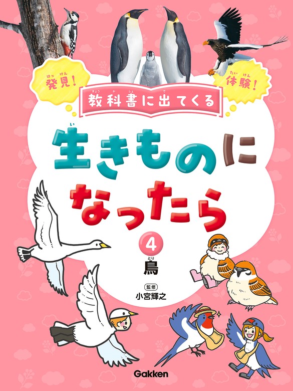 教科書に出てくる 生きものになったら 第4巻 鳥