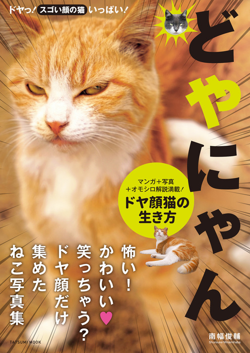 だいじょうぶ。 ニャンとか生きていけるよ 老子と猫から学ぶ人生論