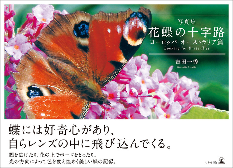 写真集 花蝶の十字路 ヨーロッパ オーストラリア篇 Looking For Butterflies 写真集 吉田一秀 電子書籍試し読み無料 Book Walker