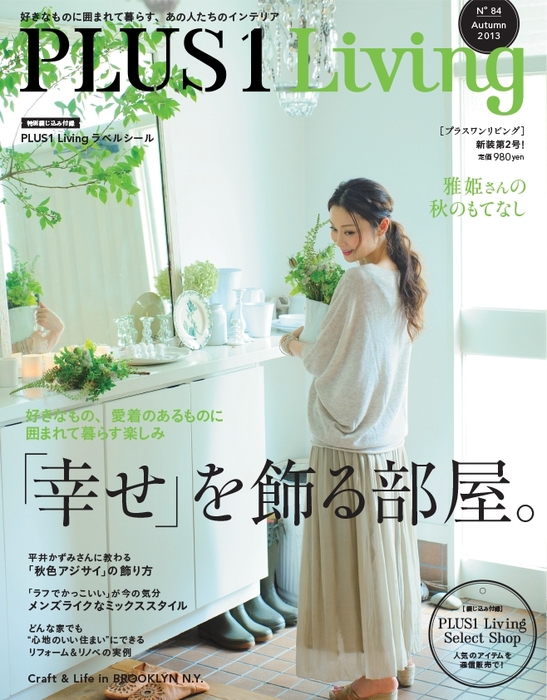 インテリア雑誌PLUS 1 LIVING プラスワン リビング 5冊セット - 住まい