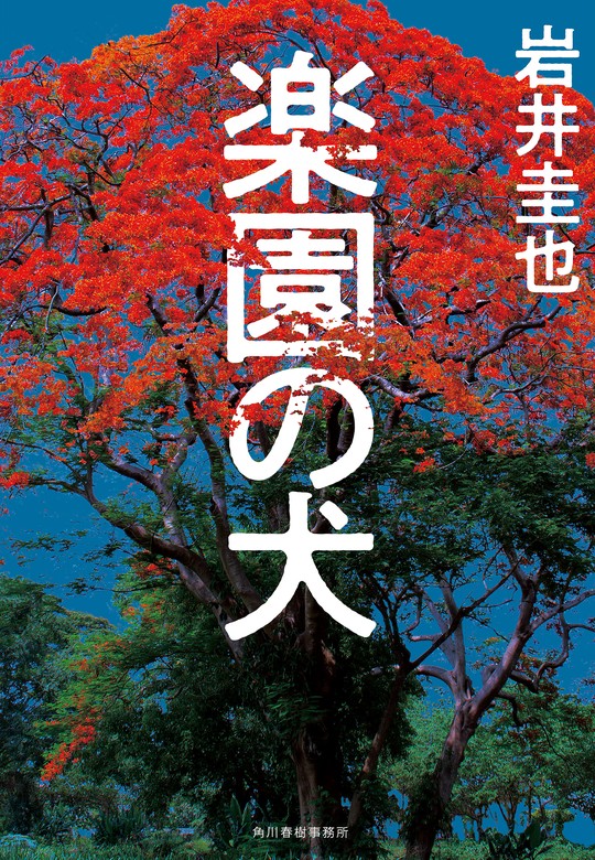 書籍のゆうメール同梱は2冊まで] [書籍] るるぶサイパン (るるぶ情報版 D 9) JTBパブリッシング NEOBK-2478601