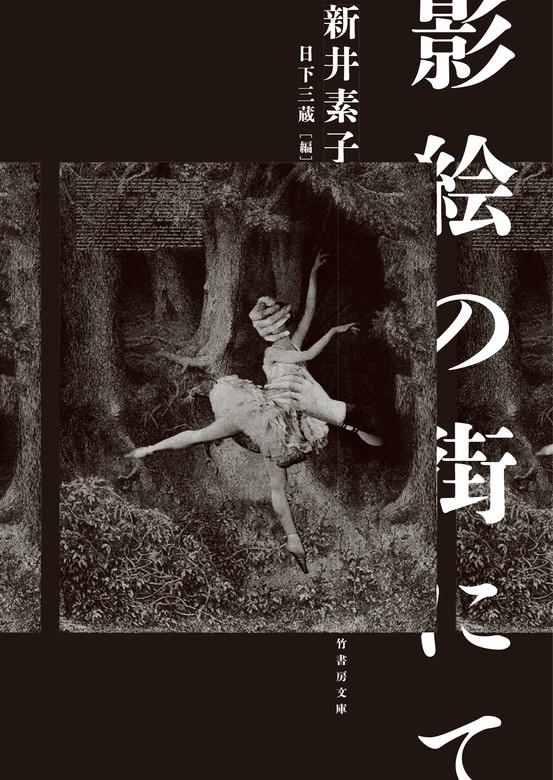 影絵の街にて 文芸 小説 新井素子 日下三蔵 竹書房文庫 電子書籍試し読み無料 Book Walker