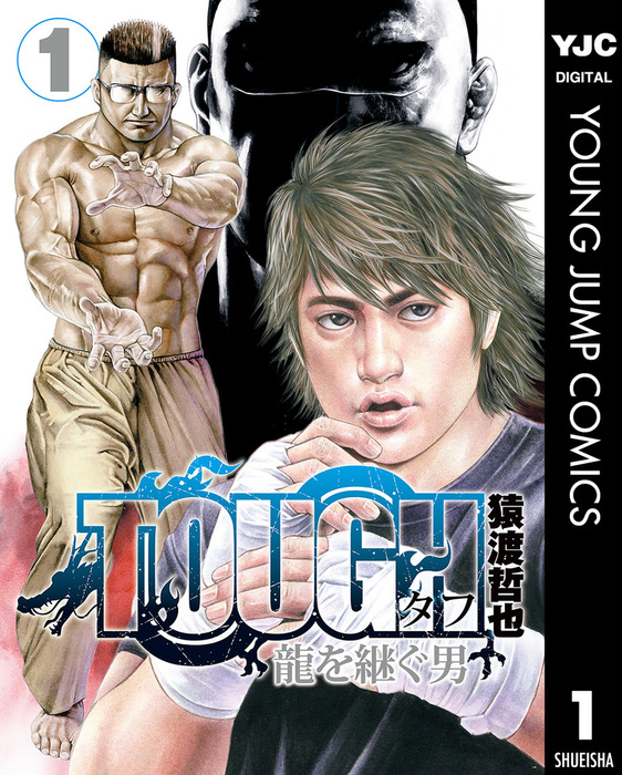 高校鉄拳伝タフ TOUGH 龍を継ぐ男 23巻 - 全巻セット