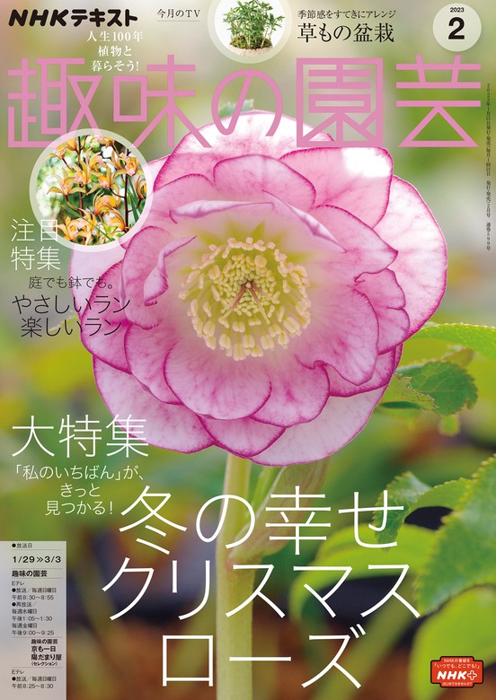 草花の育て方 １２/実業之日本社 | jayceebrands.com