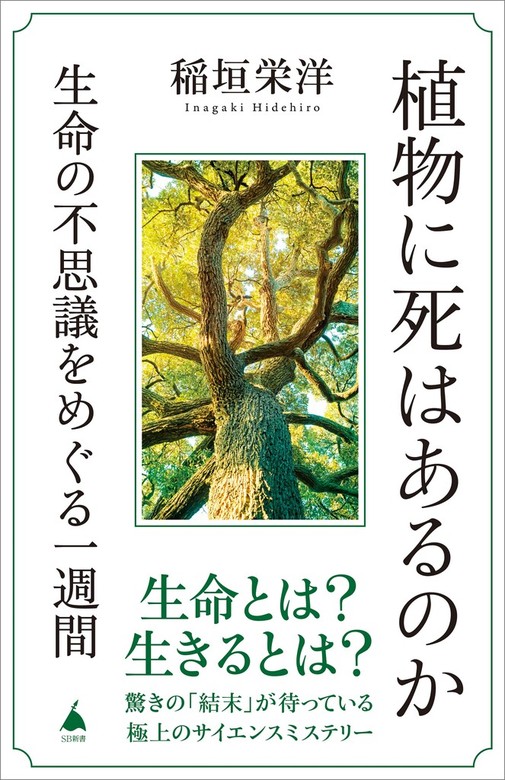 世界のニュースを日本人は何も知らない5 - なんでもありの時代に暴れ