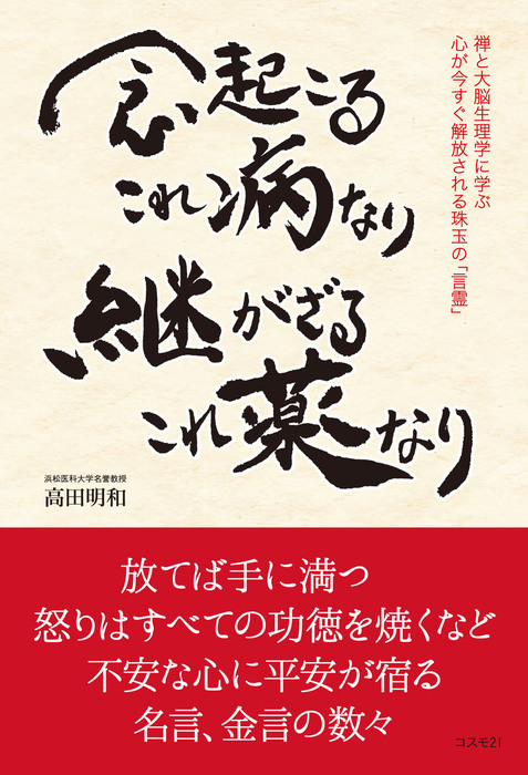 最新刊 念起こるこれ病なり 継がざるこれ薬なり 禅と大脳生理学に学ぶ 心が今すぐ解放される珠玉の 言霊 実用 高田明和 電子書籍試し読み無料 Book Walker