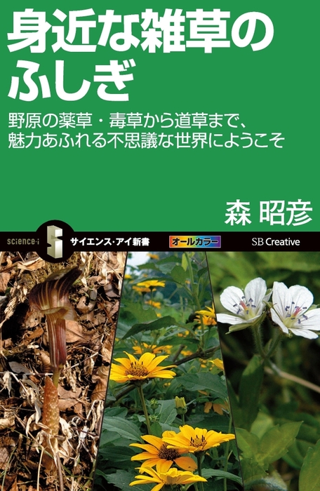 身近な雑草のふしぎ 野原の薬草・毒草から道草まで、魅力あふれる