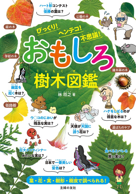 おもしろ樹木図鑑 びっくり ヘンテコ 不思議 実用 林将之 電子書籍試し読み無料 Book Walker