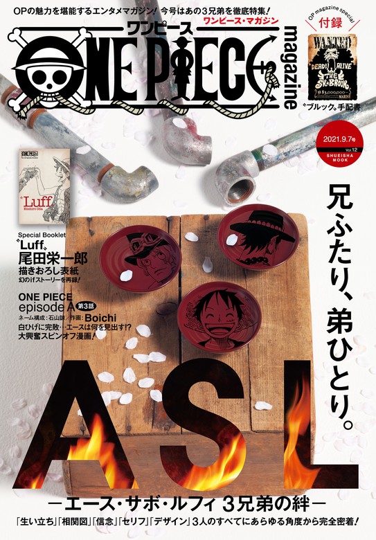 ONE PIECE magazine Vol.12 - マンガ（漫画） 尾田栄一郎（ジャンプ 