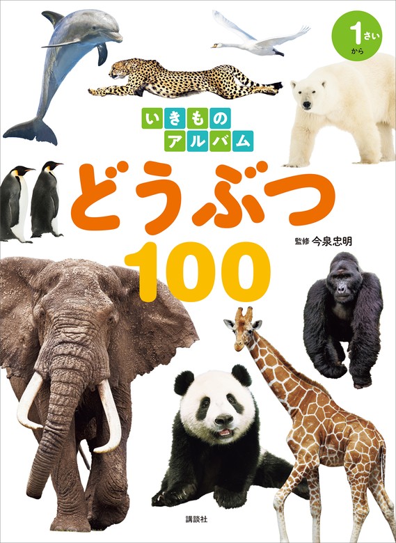 ウソナンデス ～ぼくたち、かんちがいされています!～ - ノン