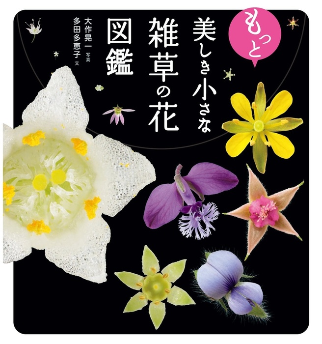 Flower Oasis 全5巻セット52冊　週刊・園芸百科　小学館 t_700x780.jpg