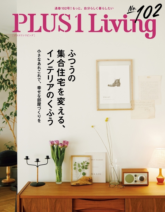 インテリア雑誌PLUS 1 LIVING プラスワン リビング 5冊セット - 住まい