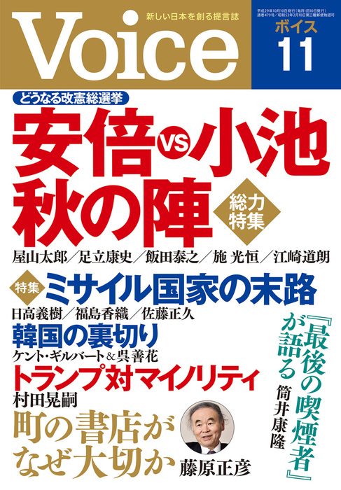 STUDIO VOICE 11月号 VOICE(ヴォイス) 2024年 11月号 | 『Voice