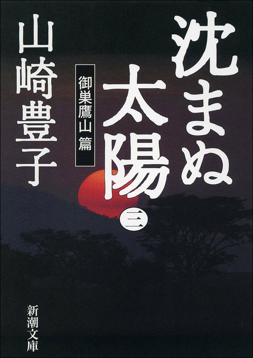 沈まぬ太陽 （一）～（五）５冊セット 文庫本 - 文学