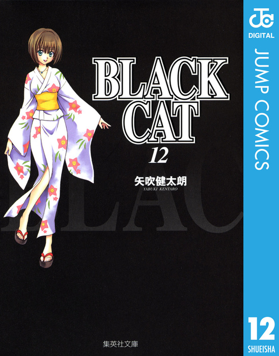 (未使用･未開封品)　BLACK CAT 文庫版 コミック 全12巻完結セット (コミック版) 60wa65s Amazon.co.jp: BLACK CAT 全12巻セット (集英社文庫(コミック版