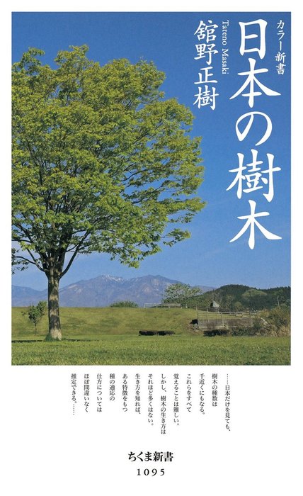 日本の樹木 www.krzysztofbialy.com
