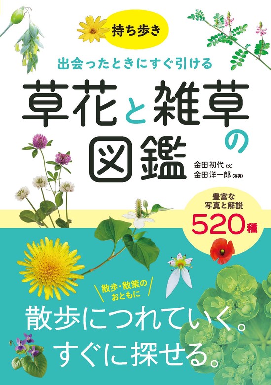 持ち歩き 出会ったときにすぐ引ける 草花と雑草の図鑑 - 実用 金田初代